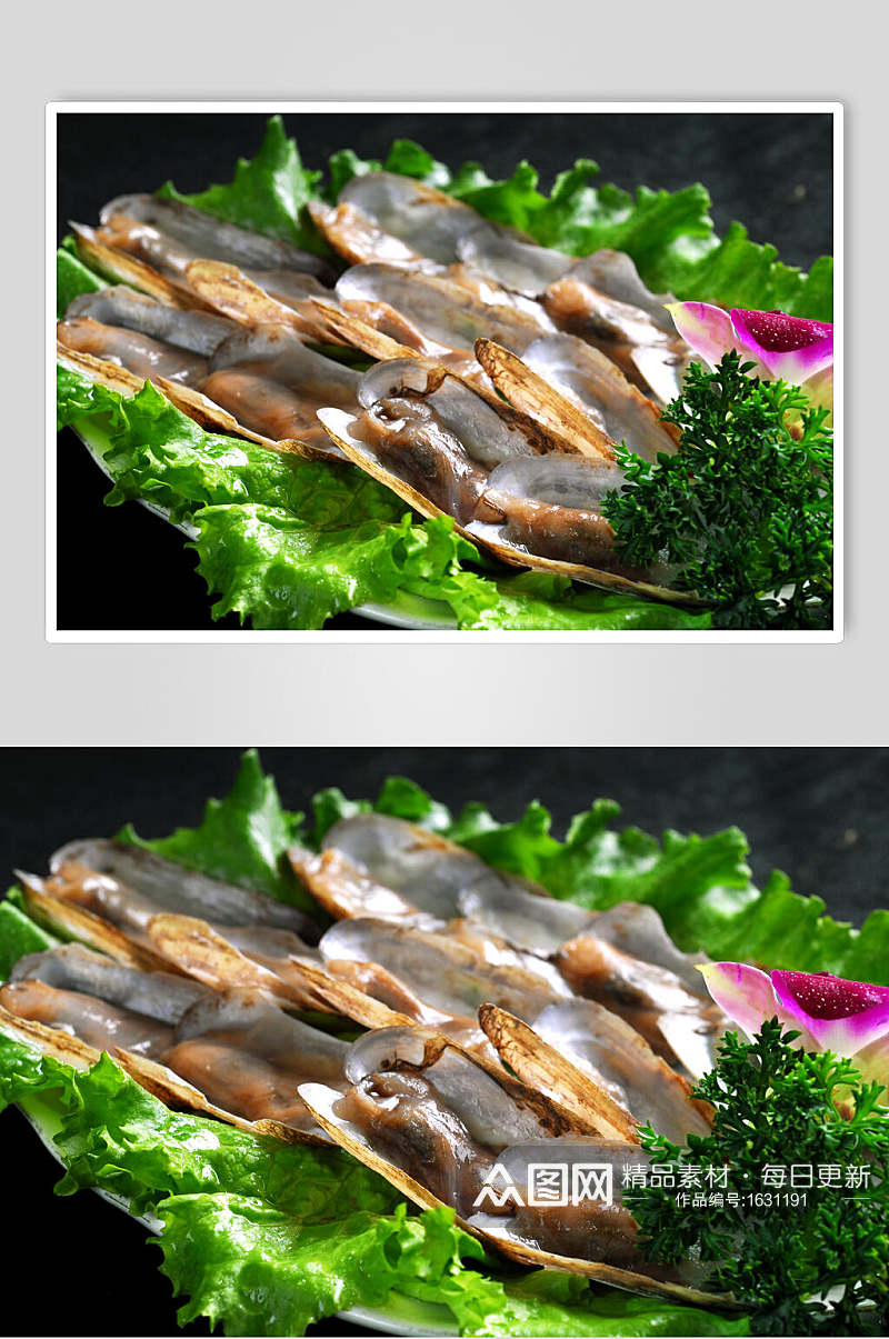海鲜系列圣子王食品高清图片素材