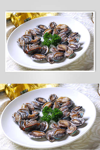 新鲜鲍鱼餐饮美食图片