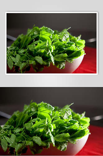 豌豆尖食品摄影图片