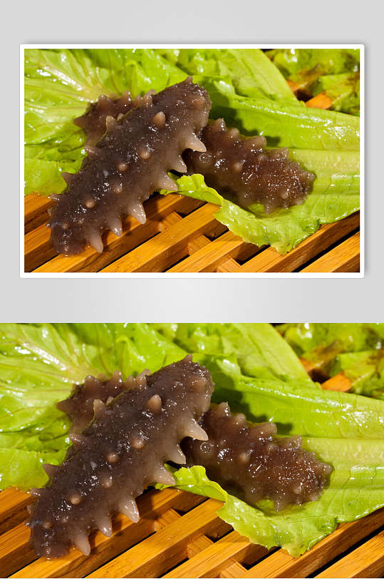 新鲜海参图片-新鲜海参素材下载-众图网