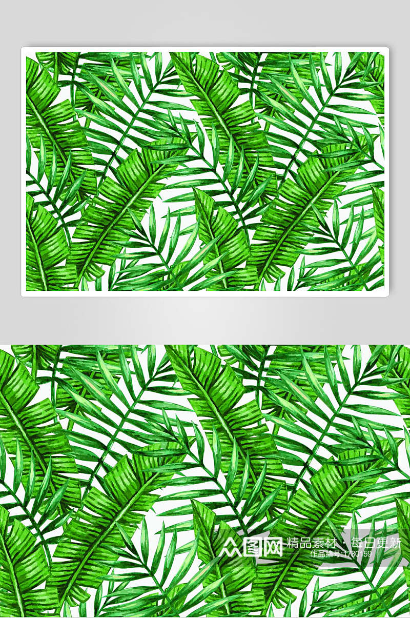 清新热带雨林植物插画素材素材