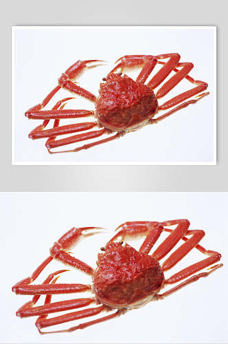 帝王蟹美食食品高清图片