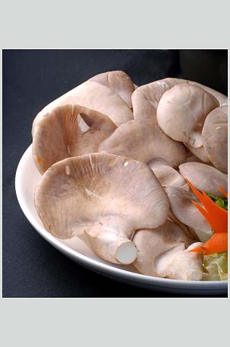 鲜菌鲍鱼菇美食高清图片