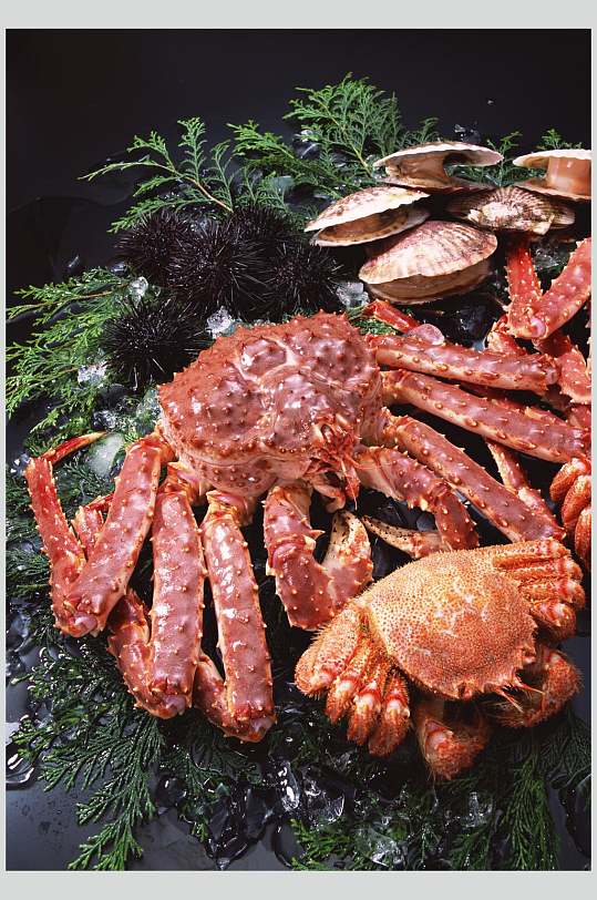 帝王蟹食品高清图片