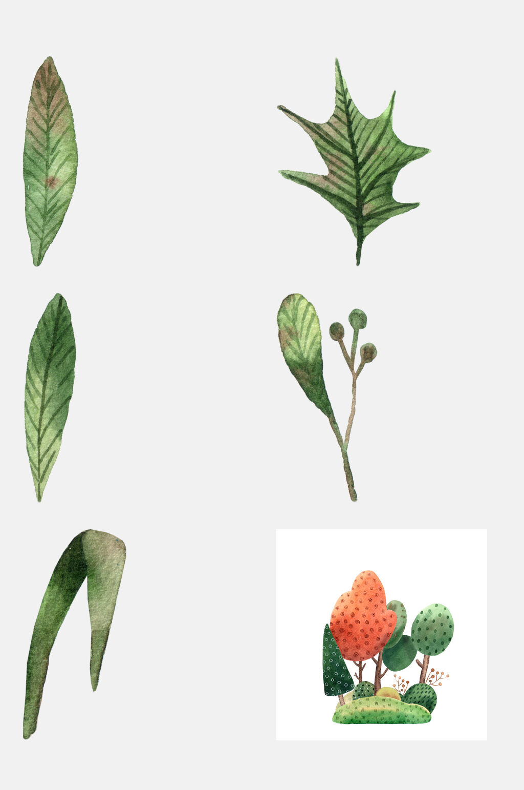 清新树叶水彩花卉动物元素素材素材