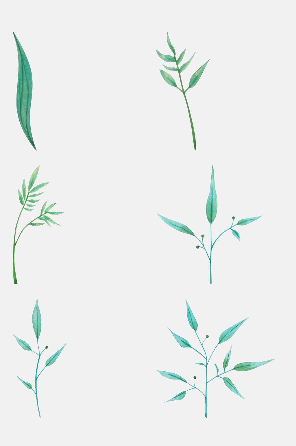 森系动植物手绘元素素材素材