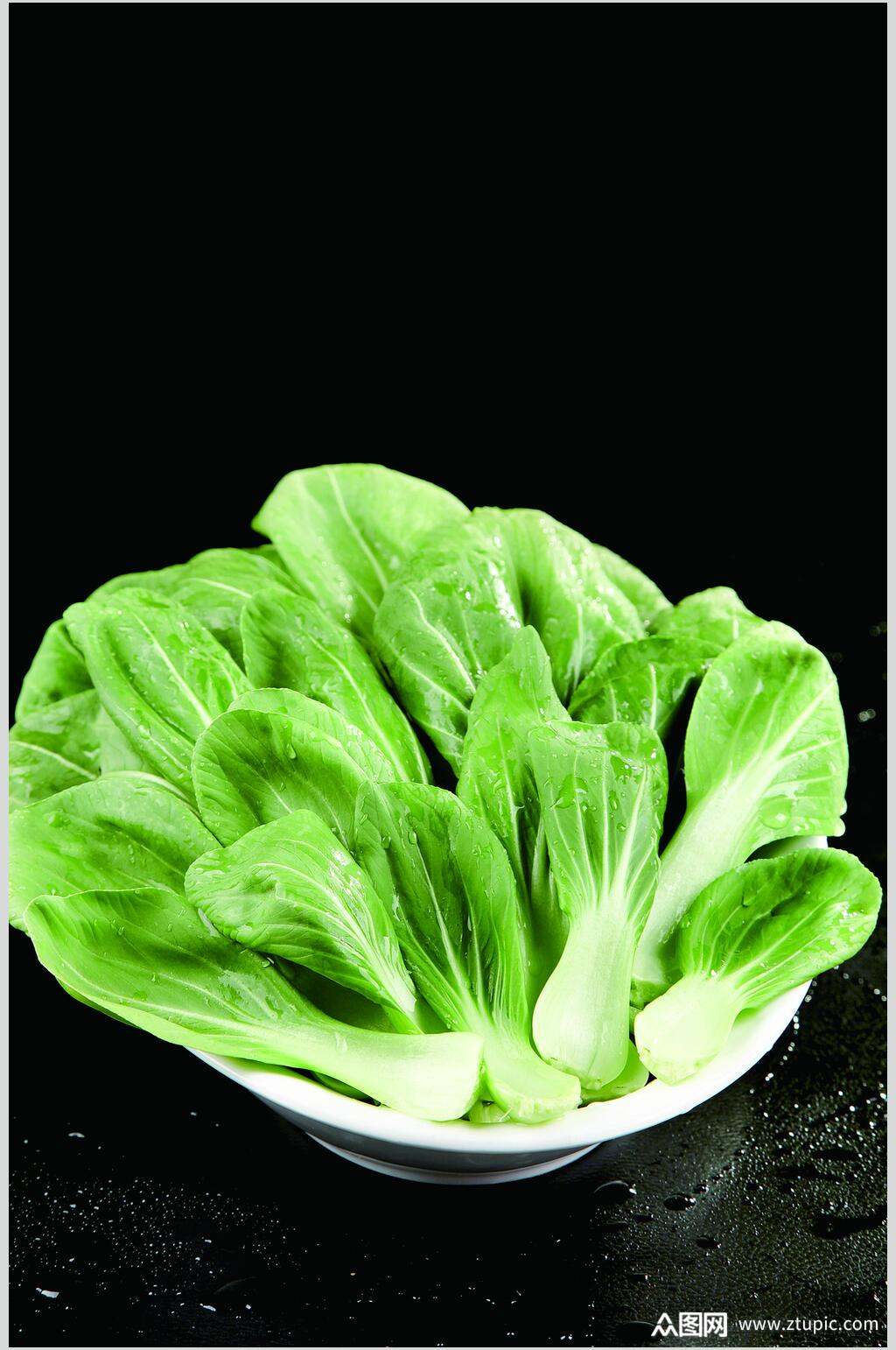 新鲜小青菜美食高清图片素材