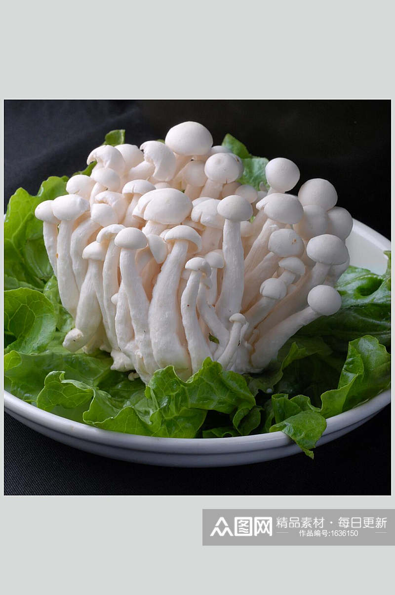 菌白玉菇美食摄影图片素材