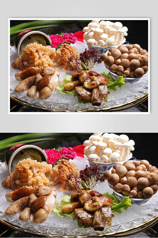 野生菌菇拼美食摄影图片