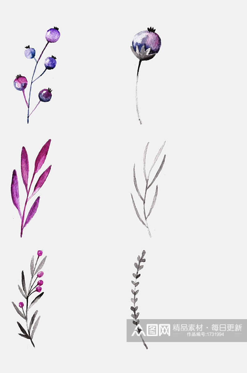 手绘紫色水彩花卉植物免抠png素材素材
