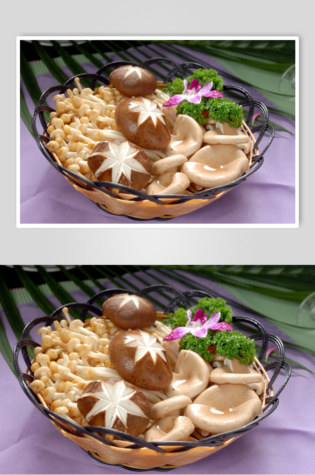 菌类花篮高清图片素材
