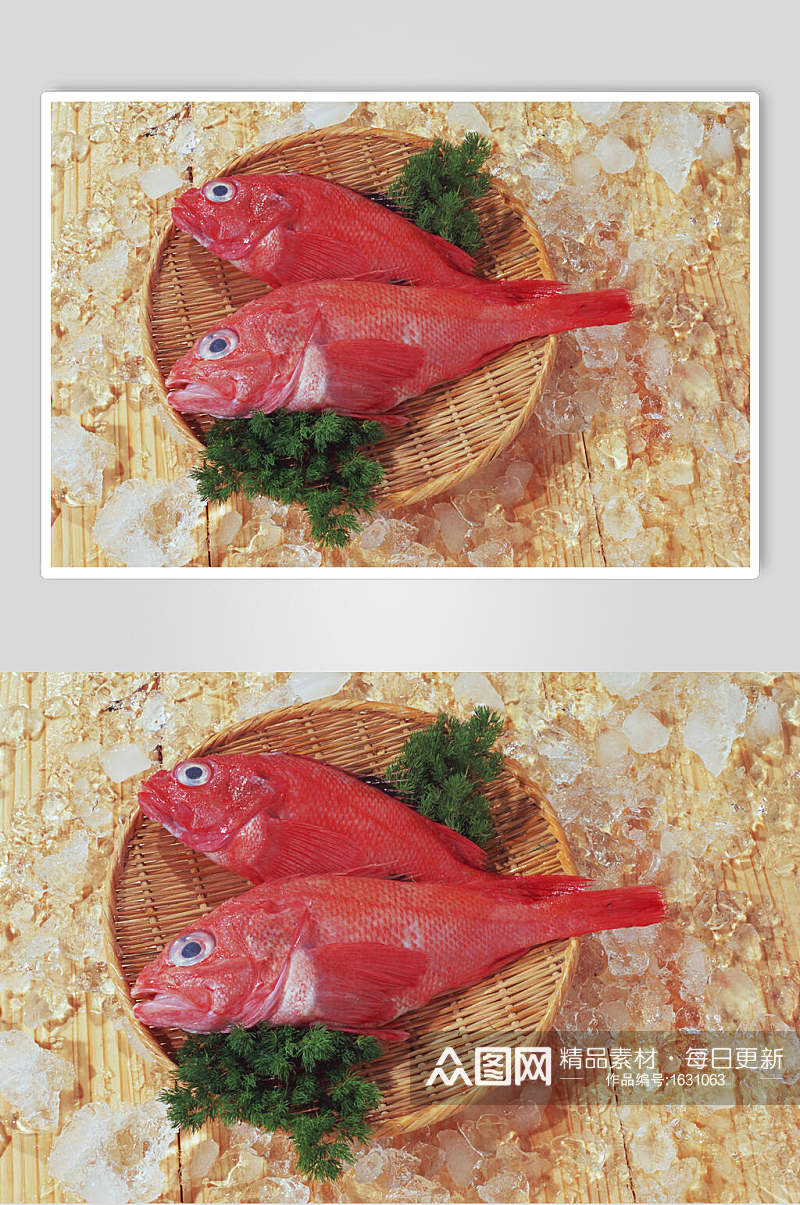 红鱼海鱼海鲜食品高清图片素材
