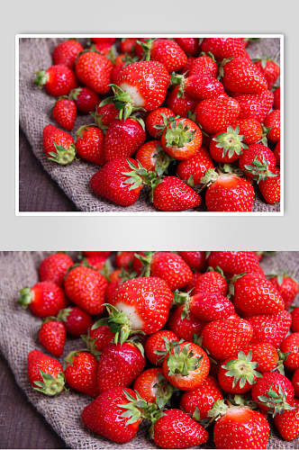 草莓采摘美味水果超清摄影