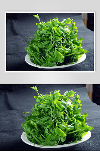 豌豆尖美食摄影图片