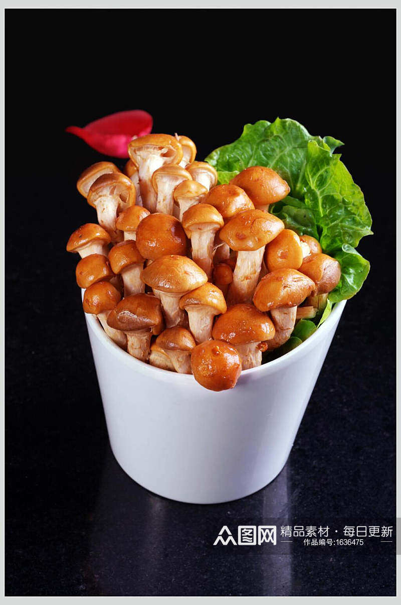 新鲜菇笋类滑菇美食高清图片素材