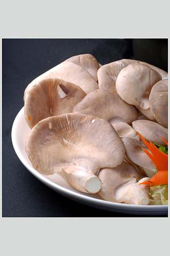 鲜菌鲍鱼菇食品高清图片