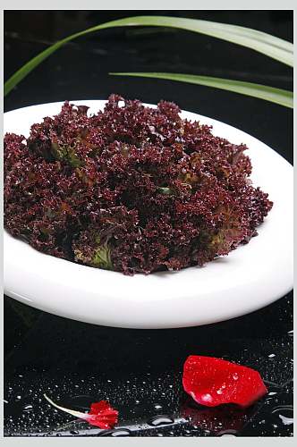 新鲜紫生菜美食图片
