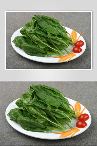 新鲜菠菜蔬菜高清图片