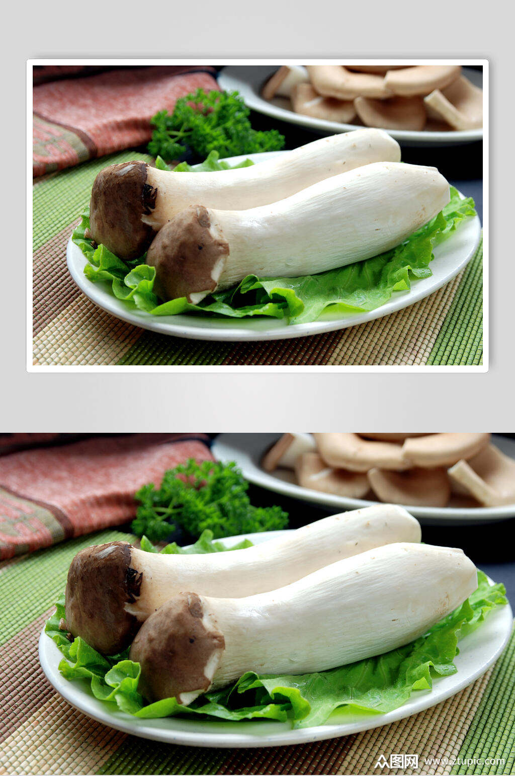 菌类杏鲍菇蔬菜高清图片素材