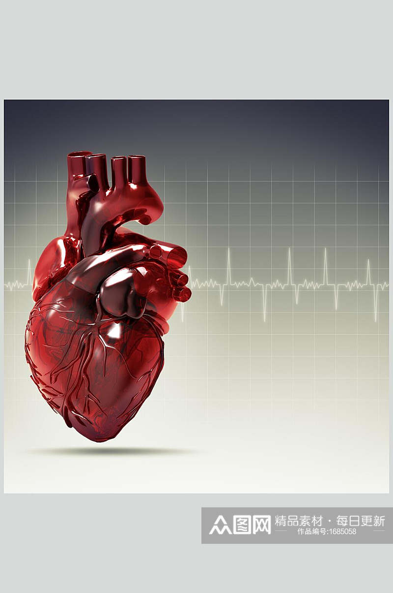 红色心脏肺部人体器官图片素材
