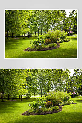 私人别墅花圃池塘森系高清摄影图片