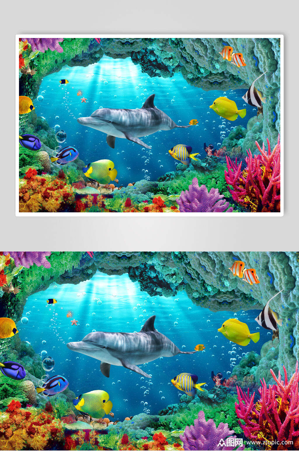 海洋世界海底世界3d立体图鲨鱼