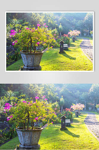 私人别墅花圃池塘盆栽图片