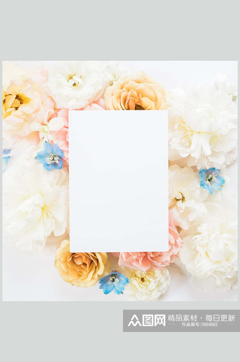 白纸花卉摄影图片素材