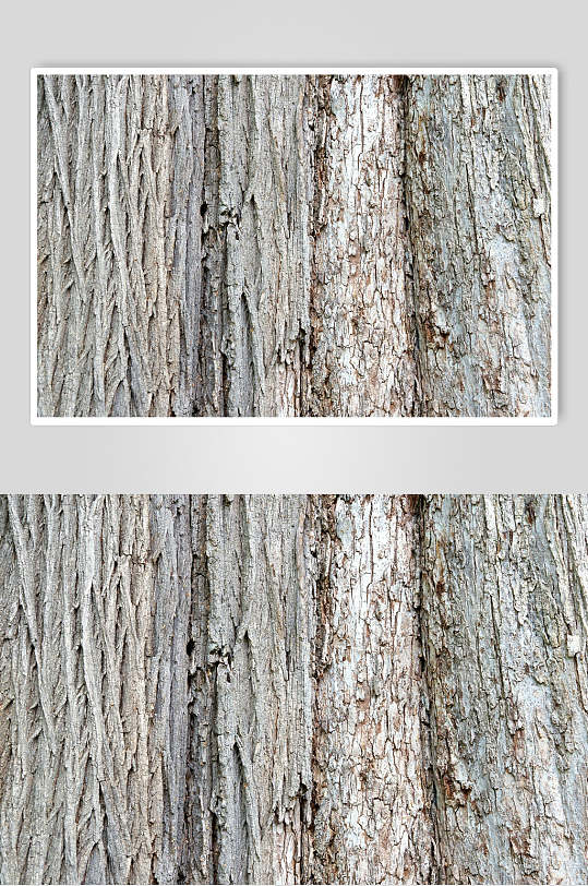 高清竖型树皮树纹图片