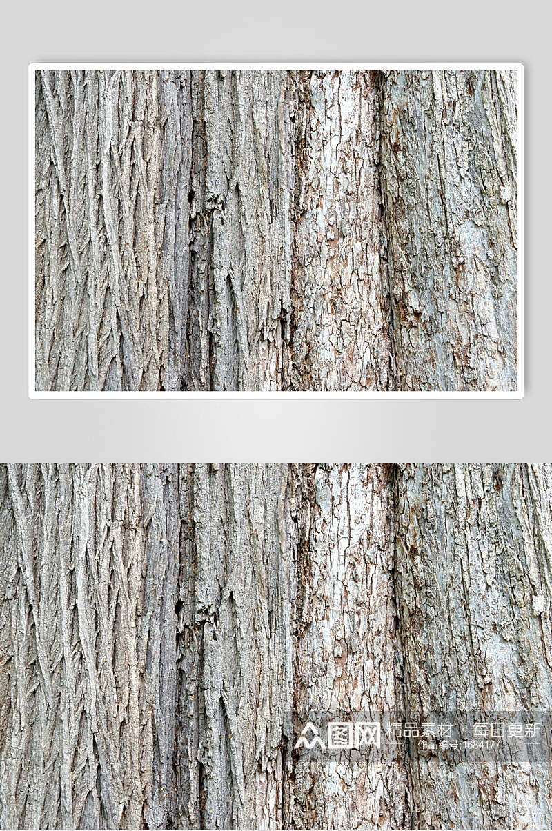 高清竖型树皮树纹图片素材