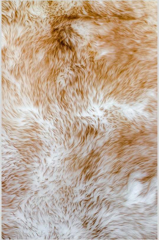 兽纹豹纹野兽皮毛高清贴图