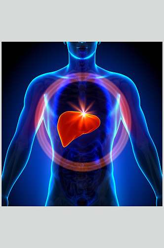 抽象心脏肺部人体器官图片