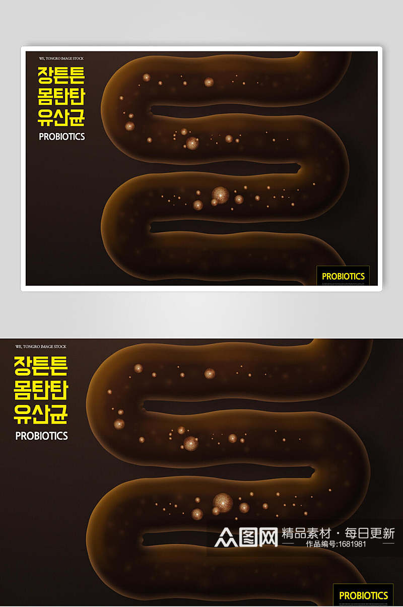 海报设计大肠未来医学韩文素材