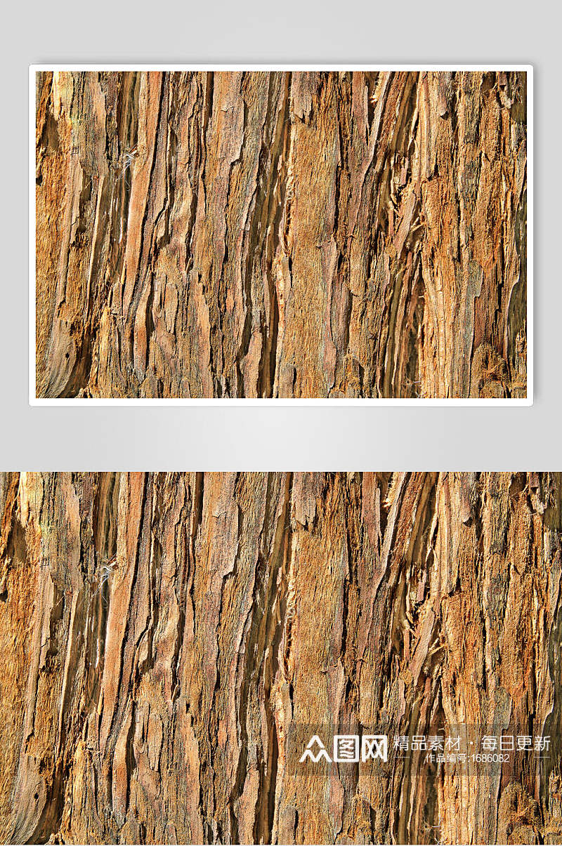 暖色树木树皮肌理摄影图素材