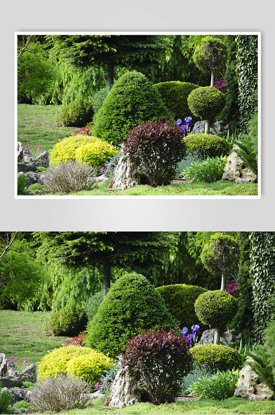 私人别墅花圃池塘植物高清图片