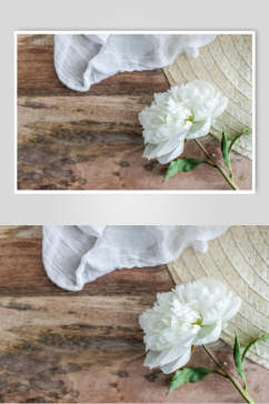 简洁白色花朵木纹桌子摄影图片