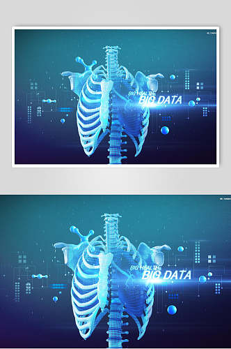 蓝色医学脏器海报设计