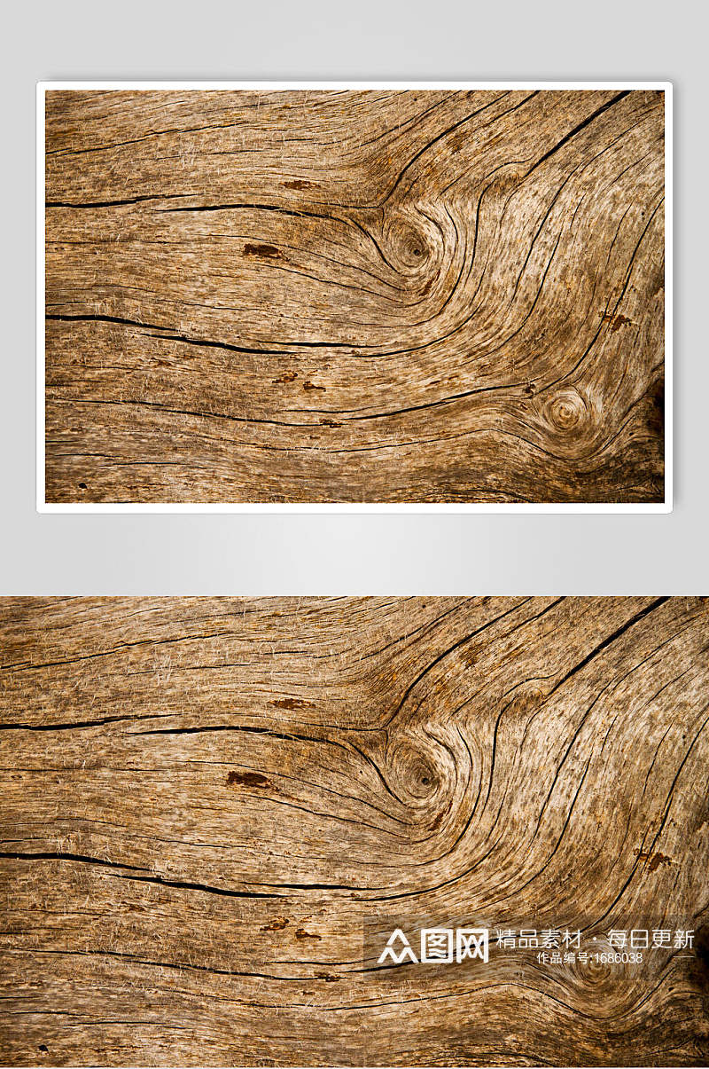 自然景观树皮树纹摄影图素材