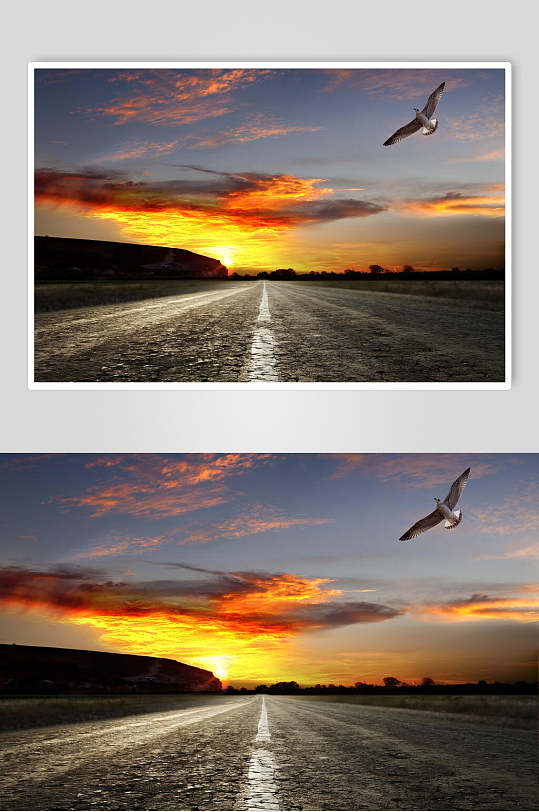 柏油公路夕阳孤独的飞鹰摄影图