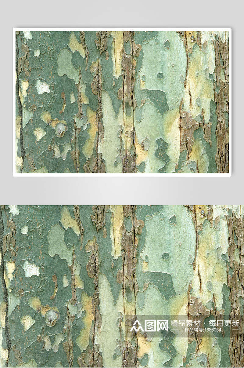 墨绿色斑驳树皮树纹摄影图素材