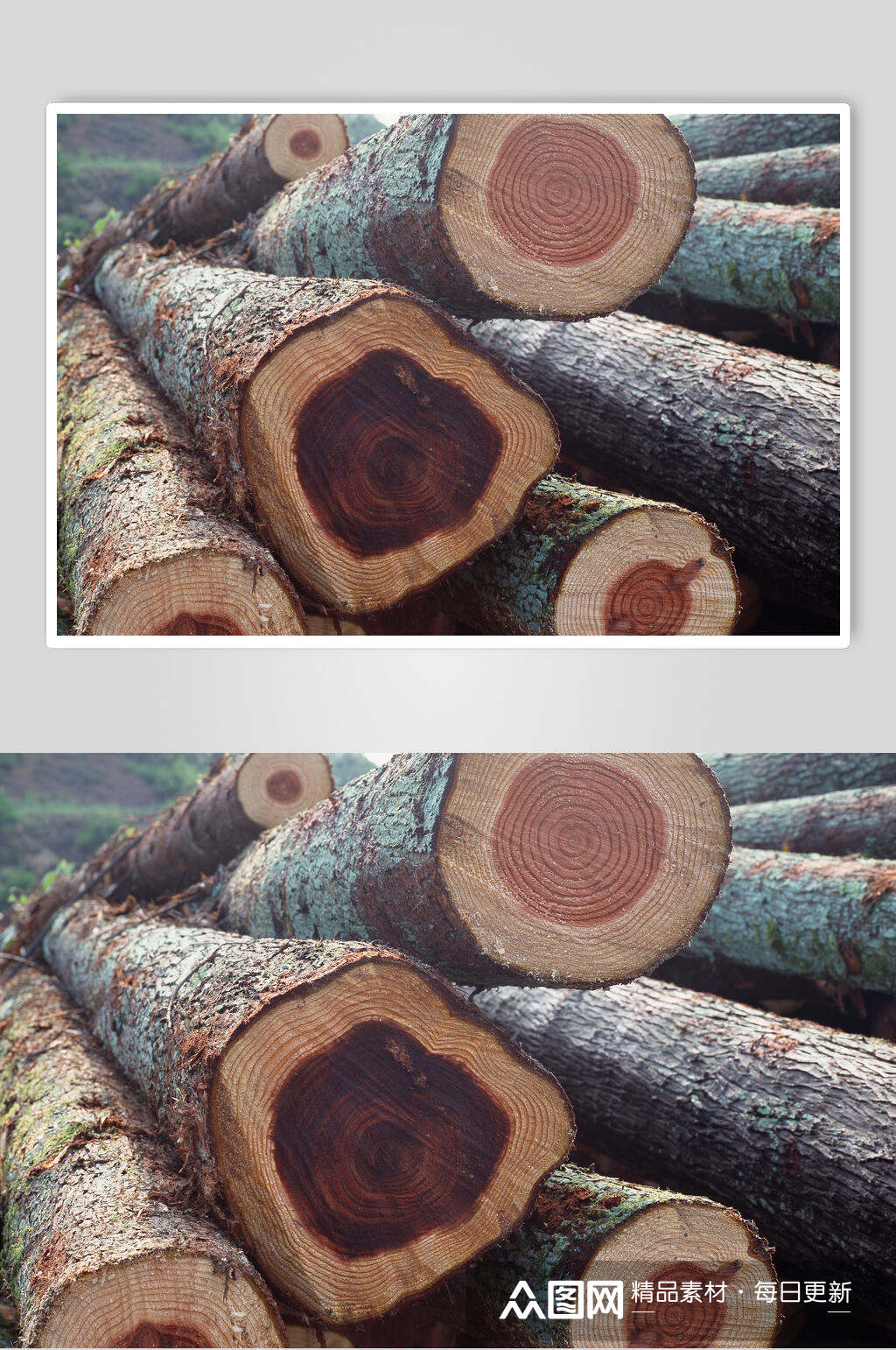 树纹木材年轮高清近景图片素材免费下载,本作品是由开心小仙女上传的