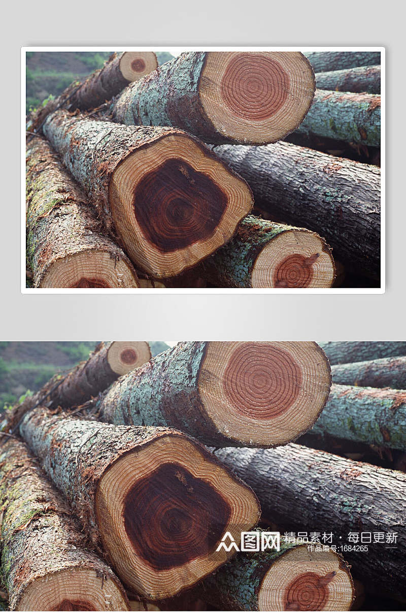 树皮树纹木材年轮高清近景图片素材