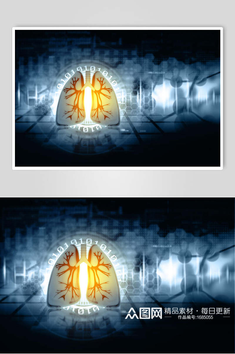 经典心脏肺部人体器官图片素材
