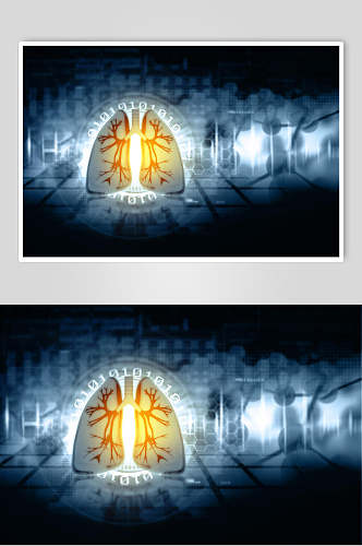 经典心脏肺部人体器官图片