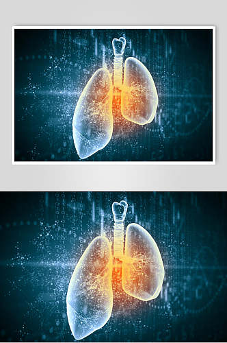 动感心脏肺部人体器官图片