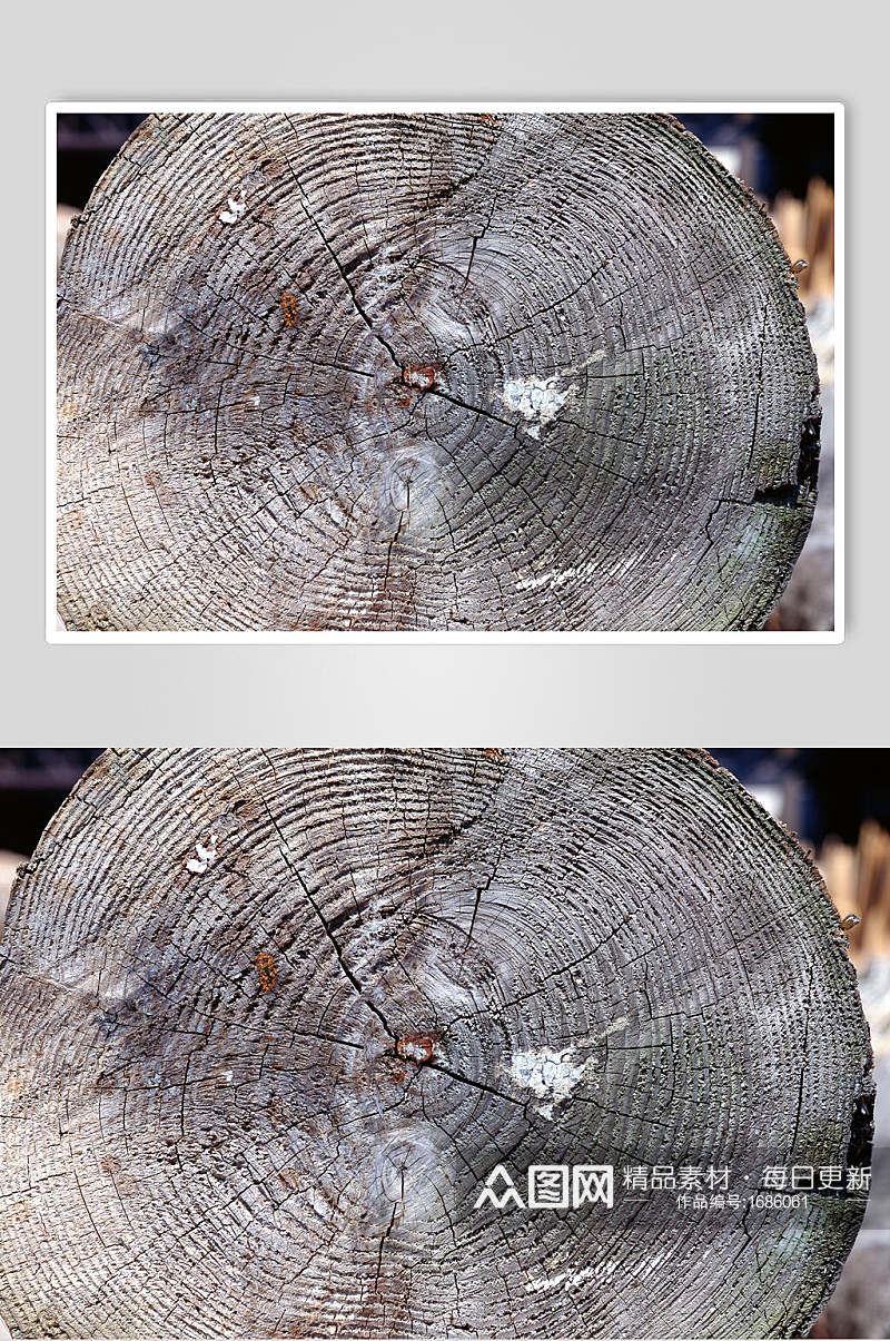 裂开树桩年轮树皮树纹摄影图素材