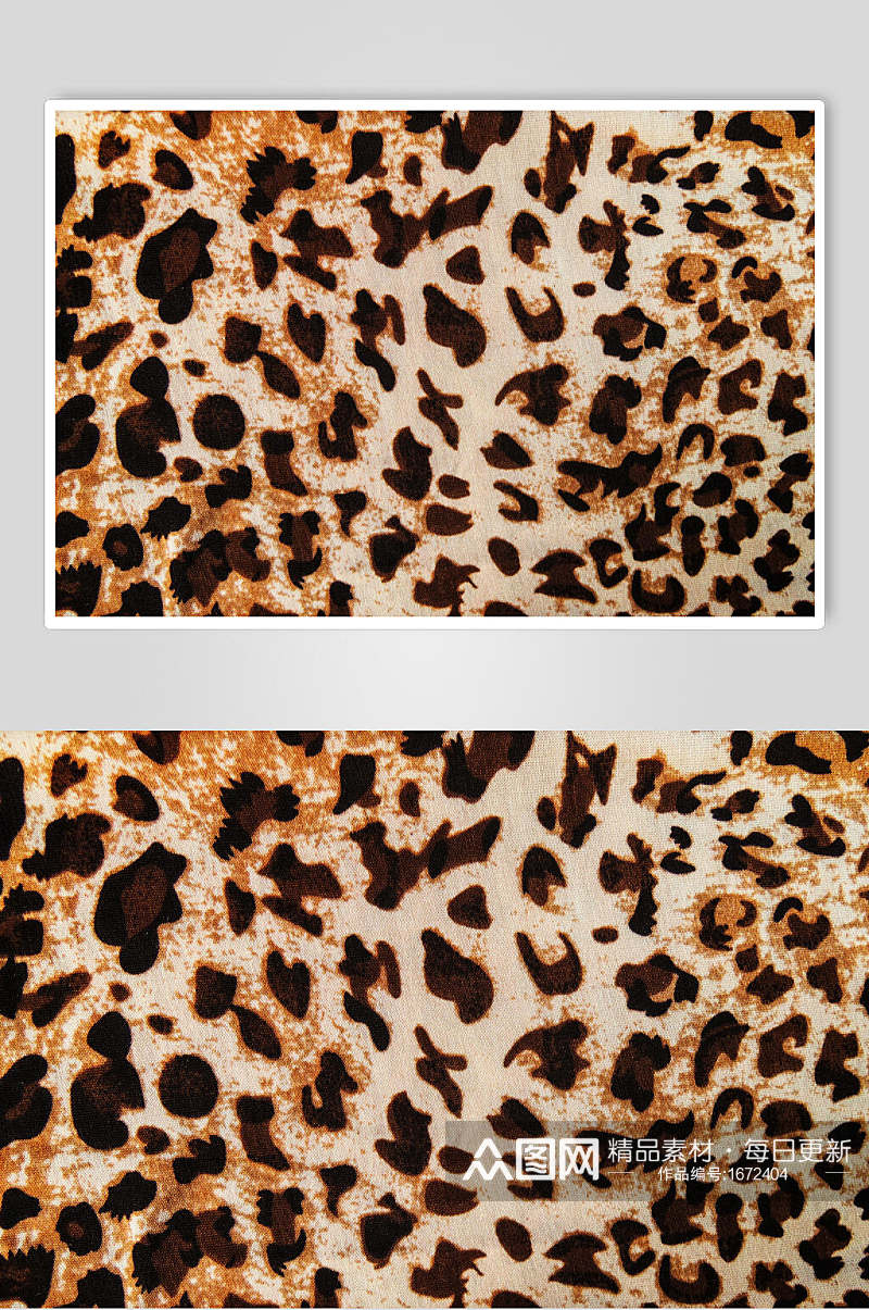 花式兽纹豹纹野兽皮毛摄影图片素材
