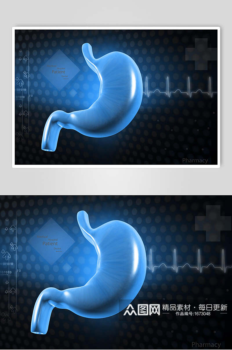 胃部心脏肺部人体器官高清图片素材