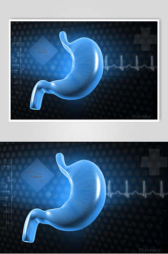 胃部心脏肺部人体器官高清图片
