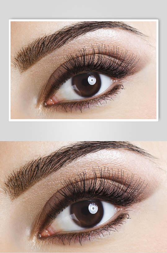 眉毛素材 高清眉毛素材免费下载 众图网